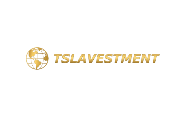 TSLAVESTMENT